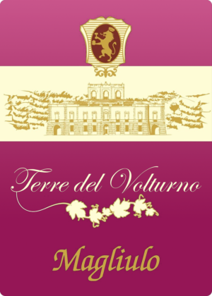 Terre del Volturno IGT Rosato